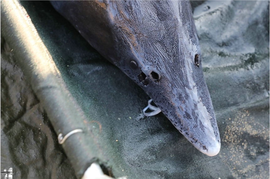 rl\m~lۣr\m~aֱNBֳك\m~؛Դr