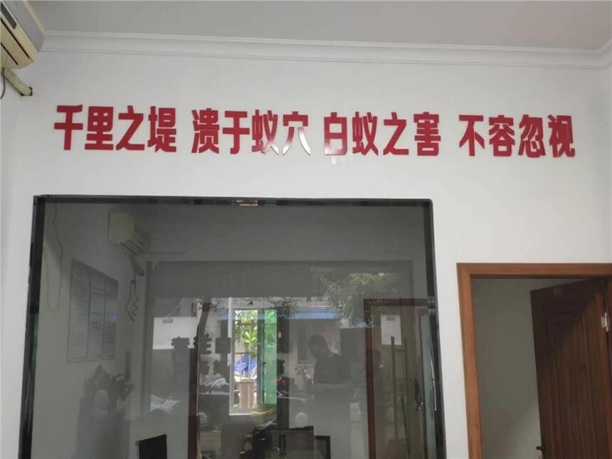 ꖜρ˾Ӝ皢ρρρҪעʲô