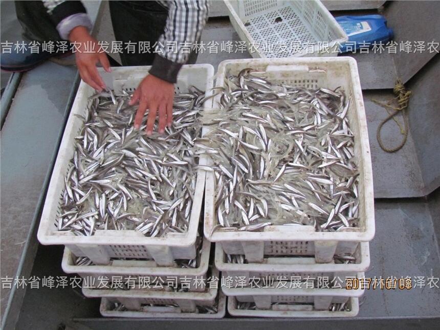 ½ӹ~Bֳ½˹v~ѣ˹Bֳӹ~