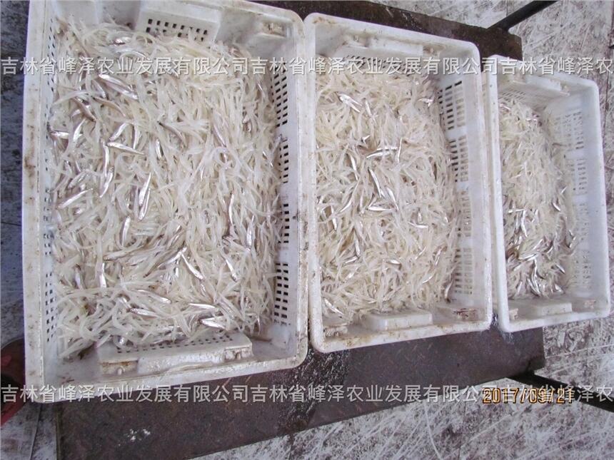 2023깫~Ar ӹ~Ѵl |ӹ~уr