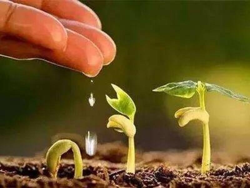 ЙCʏS SķʘI(y) ɱr