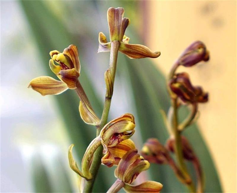 ЙC(j)ʿS_ЙC(j)ʃr_SķʘI(y)ă(yu)