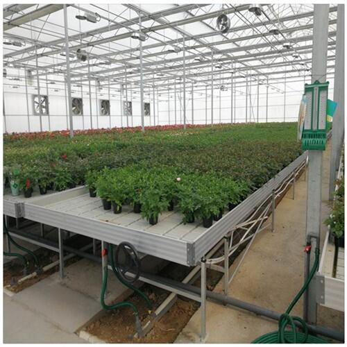 悽ƴӳϫ紲-ҳϫ紲ƏS