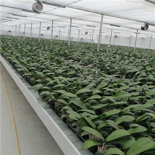 d@ֳϫ紲S-ܳϫ紲-Y