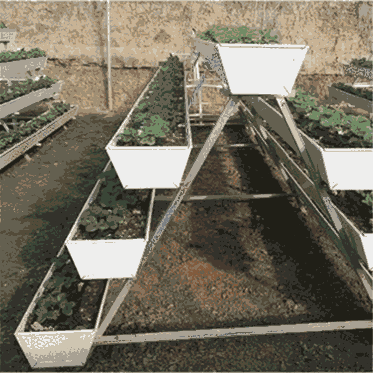 ȪݮۏS-AwNֲ۬F(xin)؛-ȫh(hun)