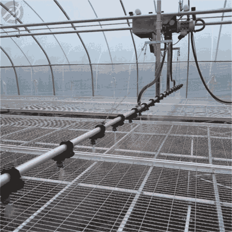 RꖾWyƄ紲-紲WS-ۺ