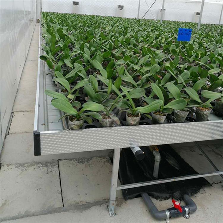 Ƅ紲a˜-ȫ紲Ʒ-ϳƷ