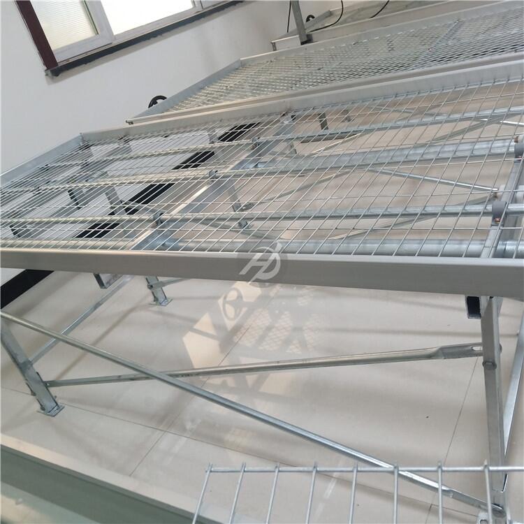 _Ƅ䓰W(wng)紲-紲-SҬF(xin)؛