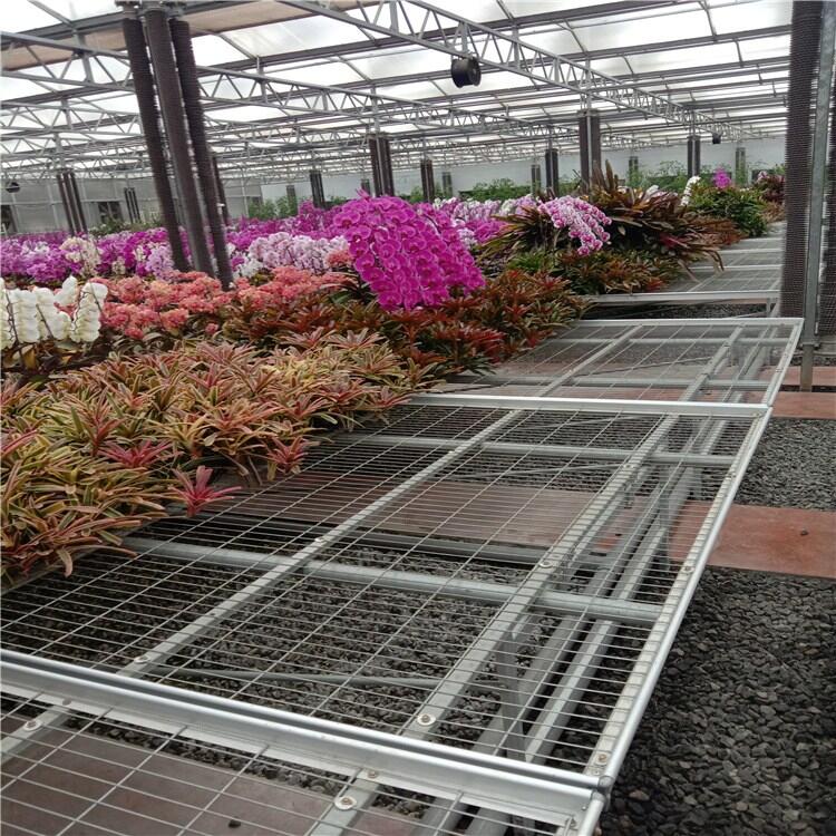 mNֲ紲-ƄӾWƬ紲-\|