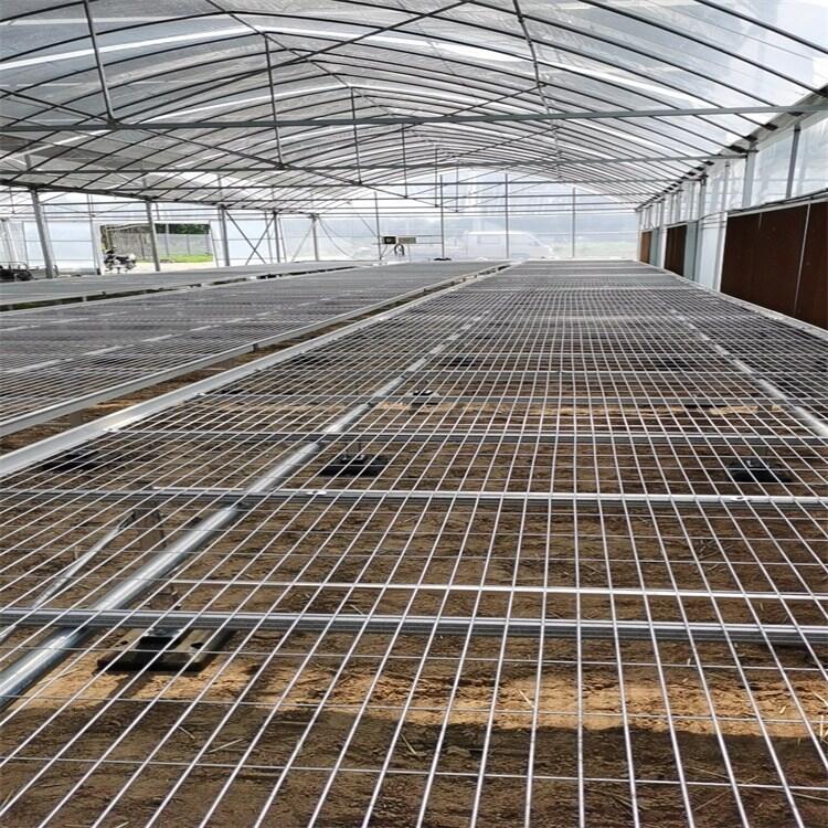 Ϲ̶紲W(wng)Ƭ\ Ƅ紲͈r