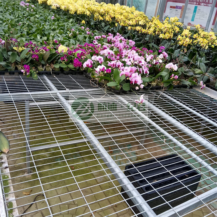 ҴW(wng)\W(wng)Ƭ Ƅ紲