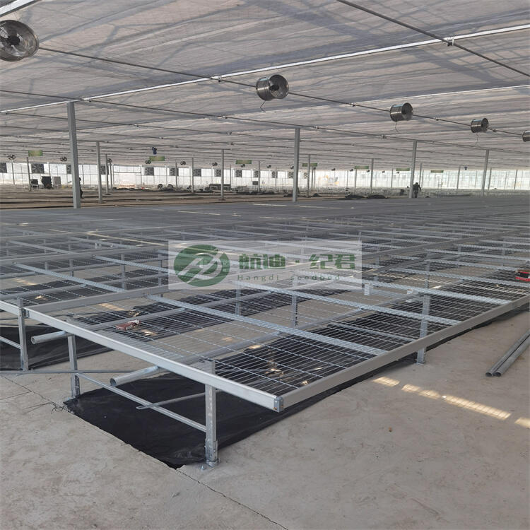 Ϻ紲_B紲WƬ_\WƬr_ӱ紲S