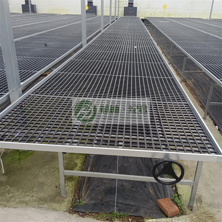 ҷNֲm紲 ɫϾW(wng)Ƅ紲a(chn)S