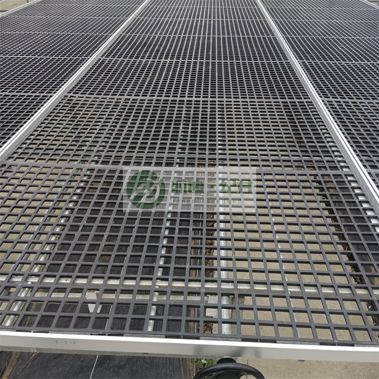 Ϲ(yng)ɫϾW(wng)Ƭ  ƺmƄ紲