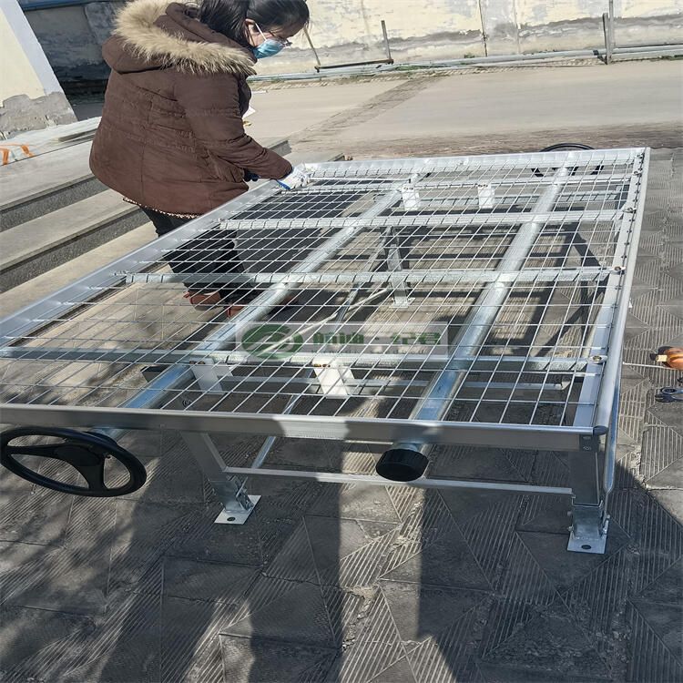 ϵ̼䓽zWƬ  Ƅ紲úͽM