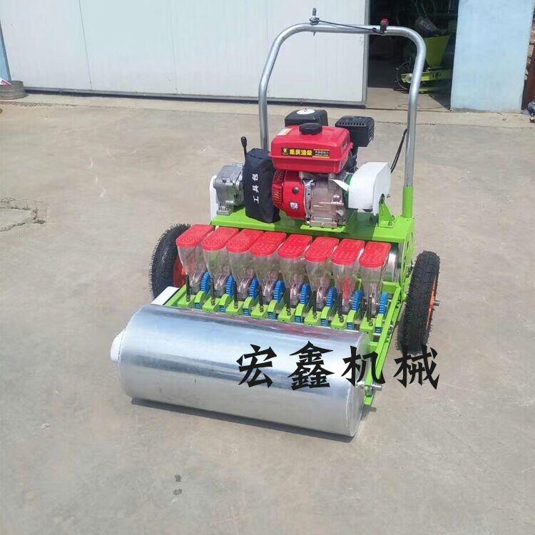 ݆ײNC ݆C׸ĤC ײNCͿNĤC