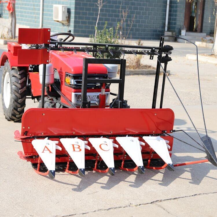 28RCC ݆_ʩʙC @õͰС݆C