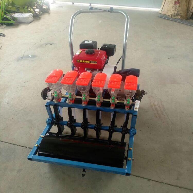 4-6вNC󶹸ʩʲNC ֥NCͿNC ĤϷN