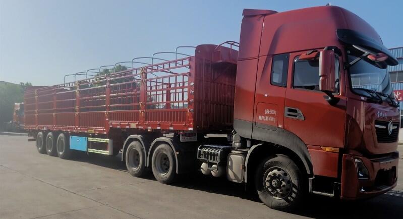 ļҒ܇?W(yng)A13ׂ}(cng)ڏSֱN