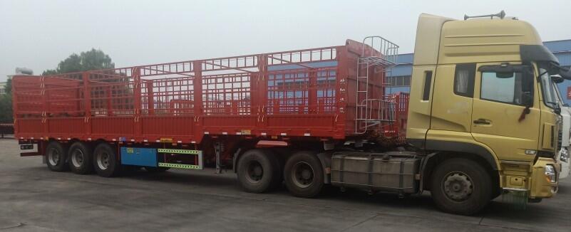 WAp13ׂ}ڰ܇̌ꐿȫN