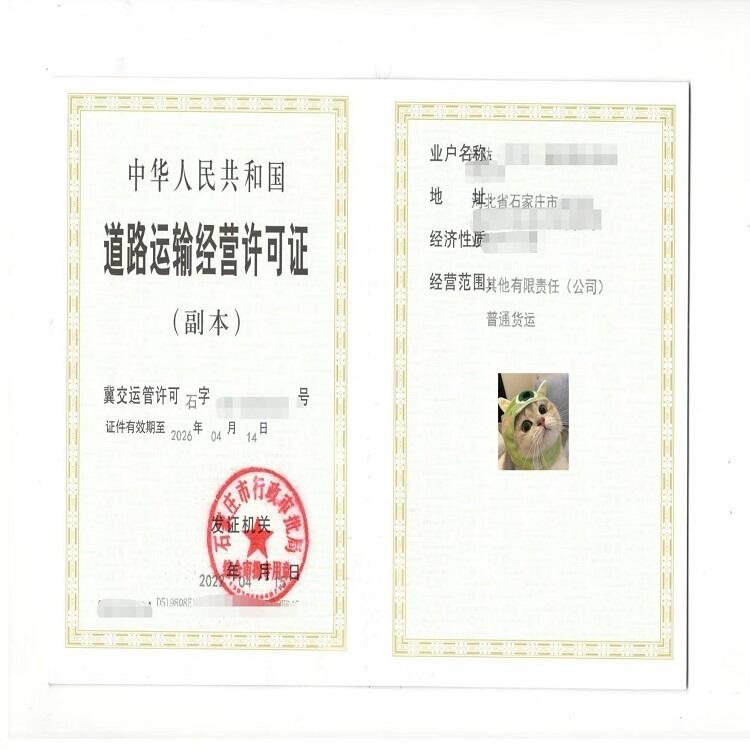 ڄǲYԴSCk Y ʯfԣA^̴k Y|k