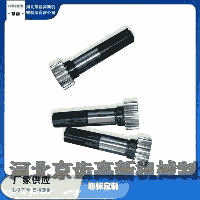 X݆Sӹ-a-ǘ˶ƹS-XCе