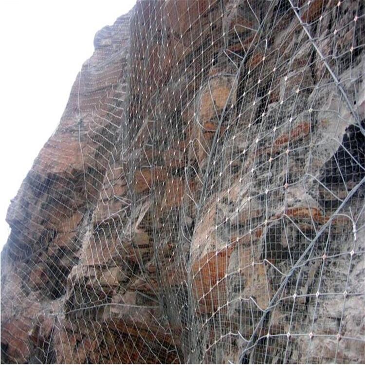 Էo(h)W(wng)ֱӏSA质Էo(h)W(wng)ֱӏSҬF(xin)؛(yng)