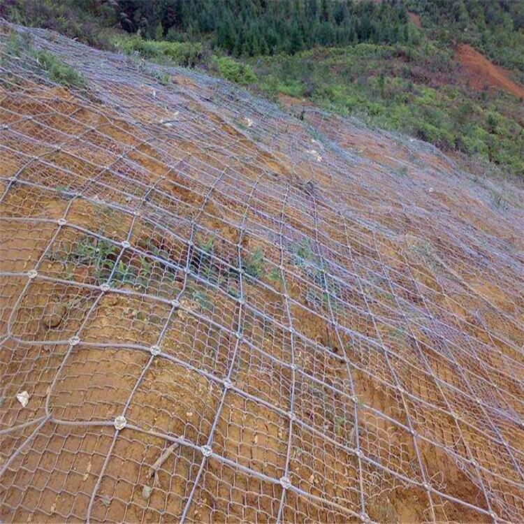 ߅°ȫoWlA悿߅°ȫoWlr񃞻