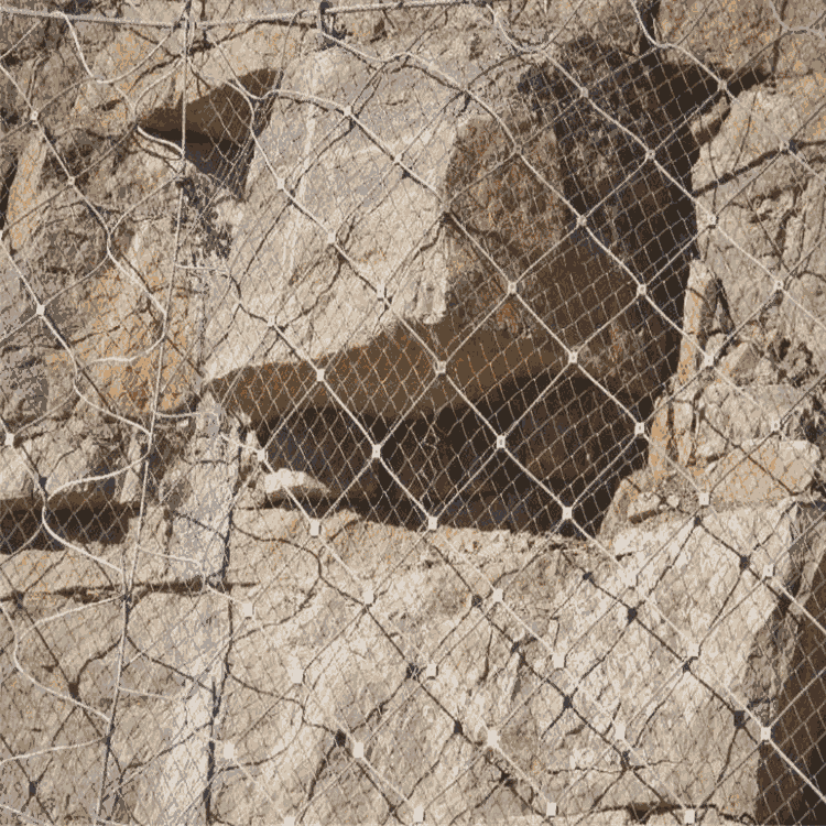 ߅·o(h)䓽zW(wng)r(ji)A̫߅·o(h)䓽zW(wng)r(ji)(yu)