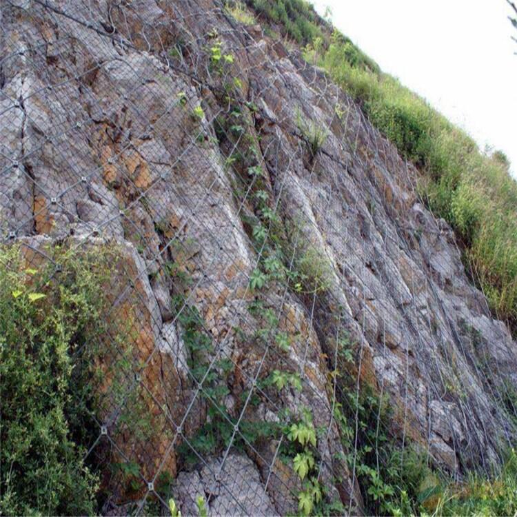 ٹ·߅·o(h)W(wng)SAٹ·߅·o(h)W(wng)S