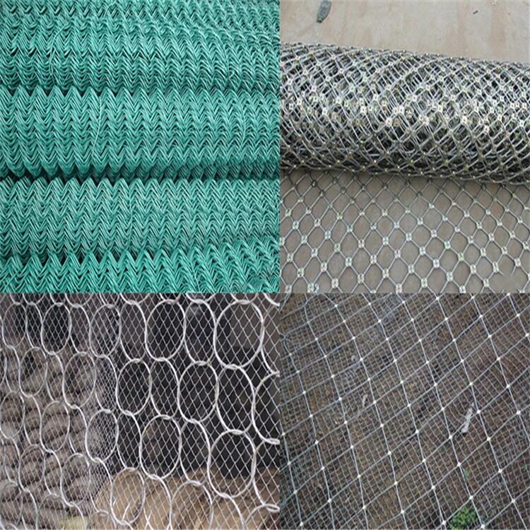 SNS߅ʯoWaSApSNS߅ʯoWaS