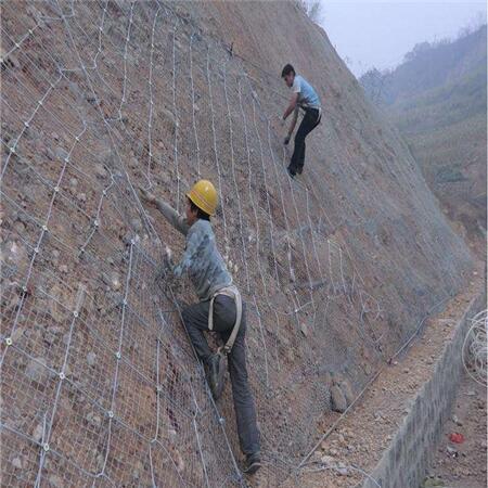 ٹ·߅·oWlAٹ·߅·oWlr