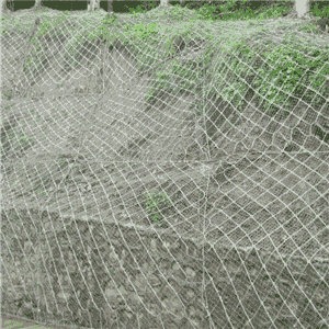 ɽwo¾WXһA߅ɽwo¾WXһu