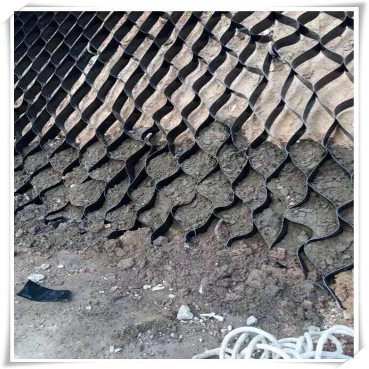 h߅·oNֲGW䳲Aӵ߅·䳲sϵyF؛