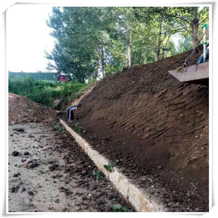 Ŀh·ֲo ~BֳꀿhAɫֲWs