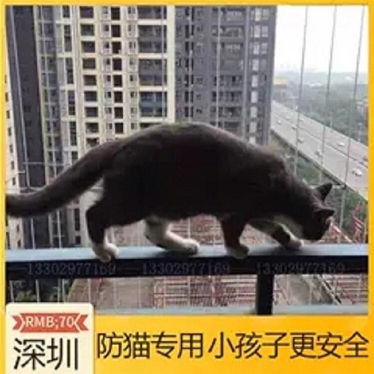 ڌ[ηoWС؈[ηoWڌ؈[ηoW