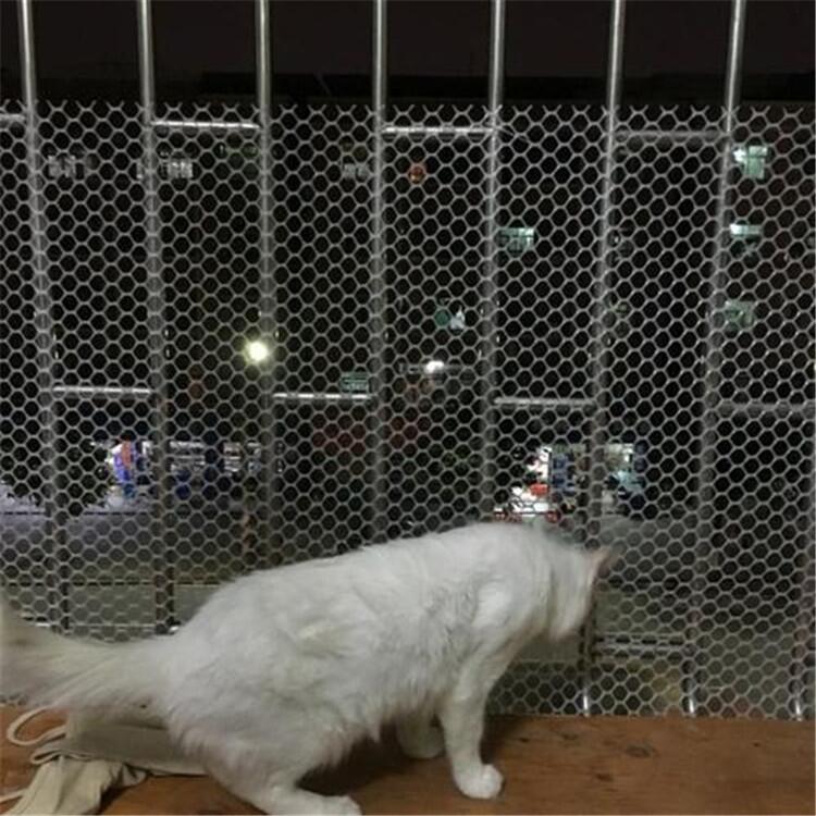 С؈ȫW(wng)С؈o(h)W(wng)С؈W(wng)С؈W(wng)