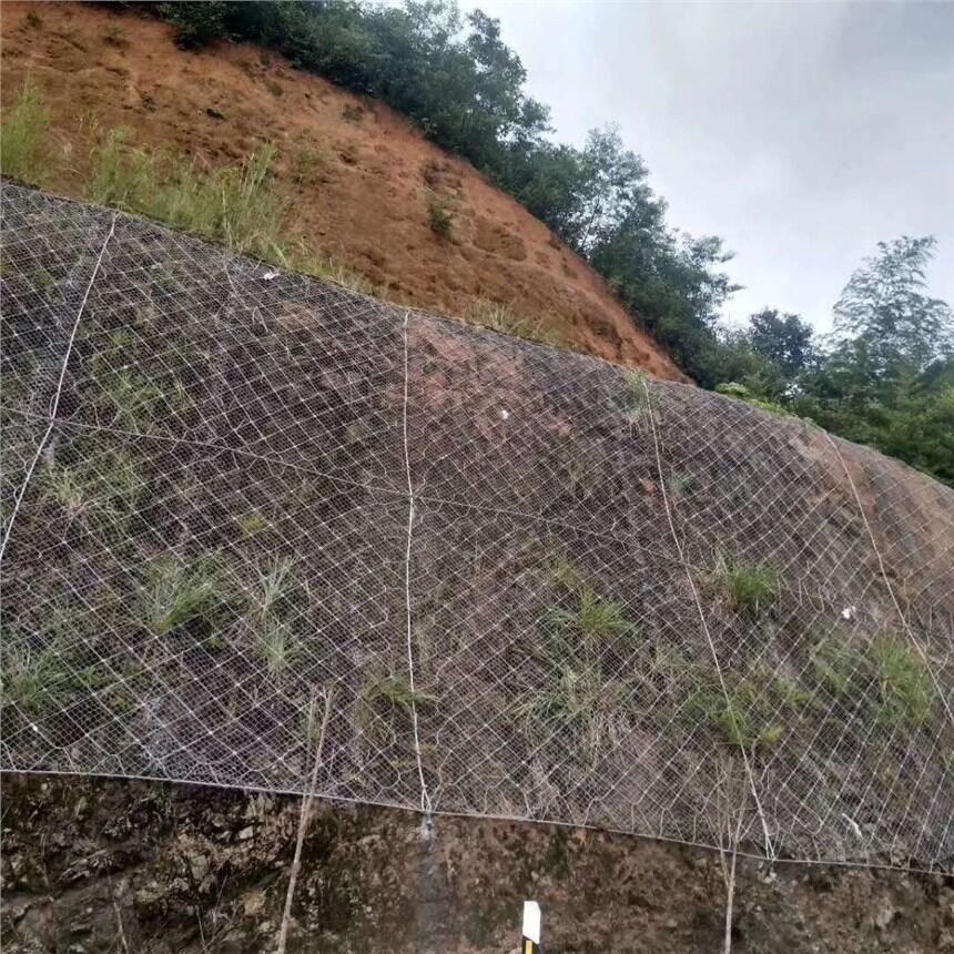 ·rʯ߅·oWABT·rʯ߅·oWa