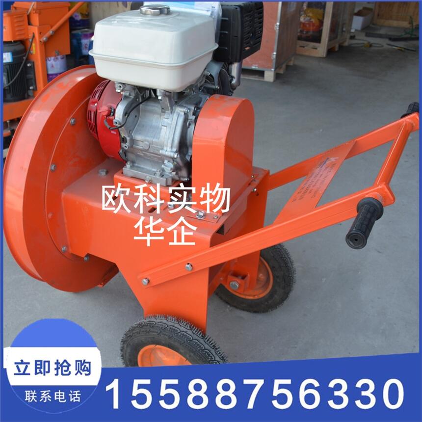 Wᱳؓ(f)ʽL(fng)C(j) ʽ·洵L(fng)C(j)S