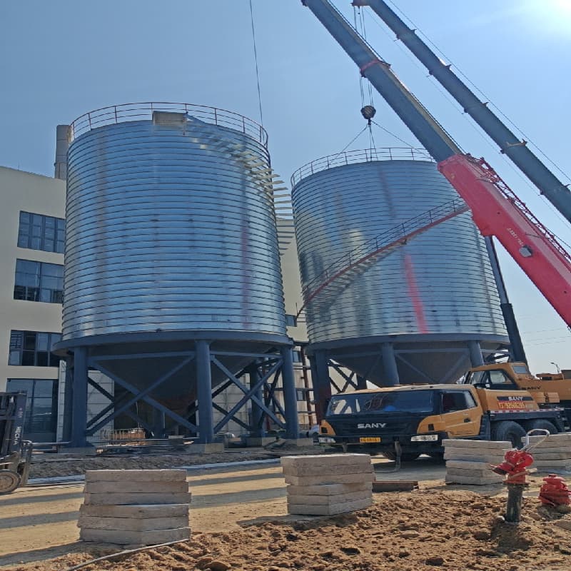 ɽ |   ߼䓰} ߼ܺӂ}S ˮ҃O