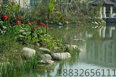 ̼Դɫ oɫ͸ҺwͶ̼Դ