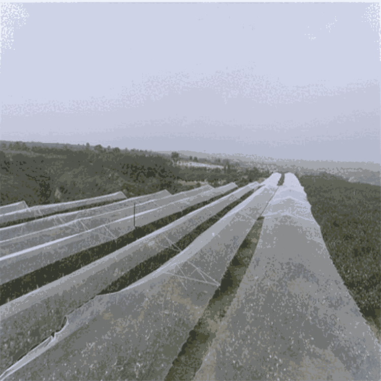 @ĿW 8mmW׷oW ɫ͕W?