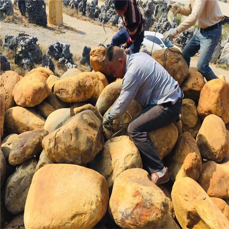 V|СSϞʯ mڹ@ͥԺ쾰^p SϞʯSҹ