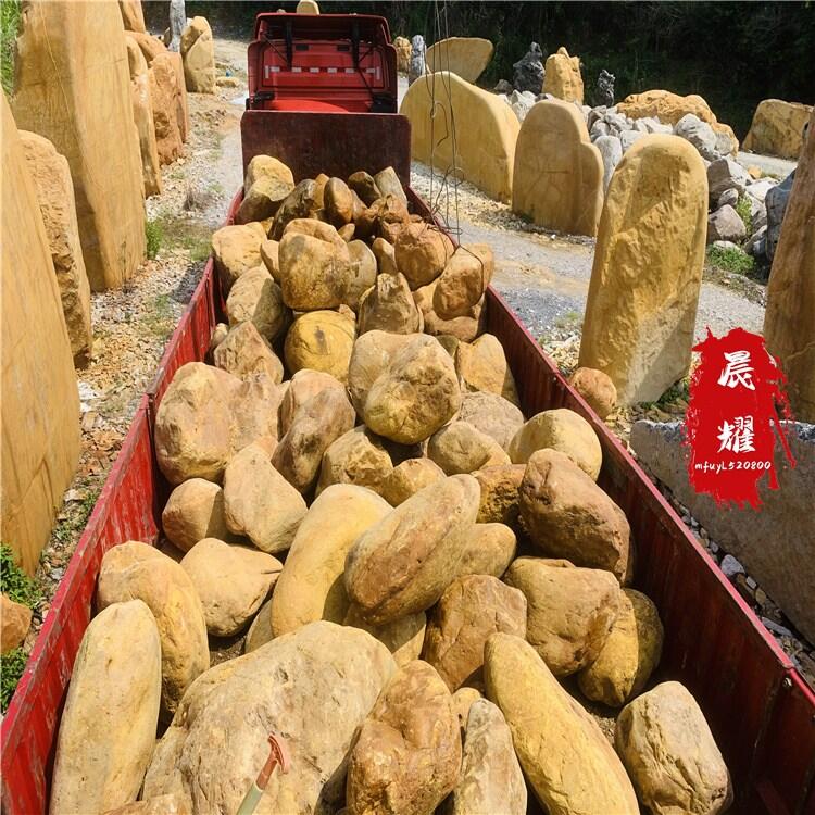 SϞʯ@ʯ^ʯ SʯLʯS @ͥԺcYʯ