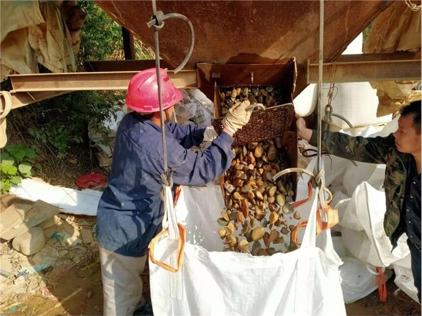 Zʯ̲ @֞VˮʯZʯ ^·O(sh)ʯ