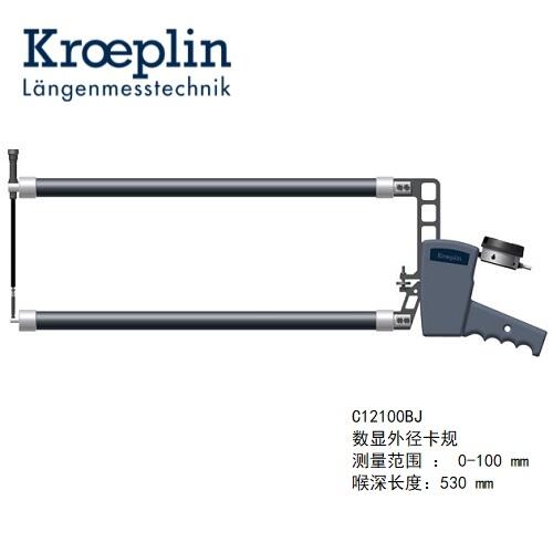 C12100BJkroeplinƥ⿨ҎC12100BJ