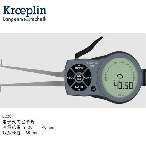 kroeplin(sh)@(ni)yҎ(gu)L220