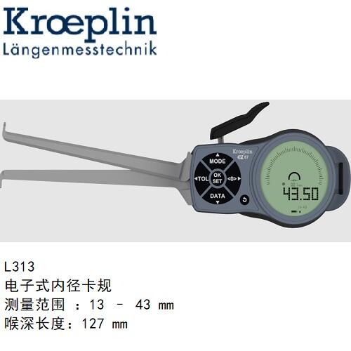 kroeplin@ȏyҎL313