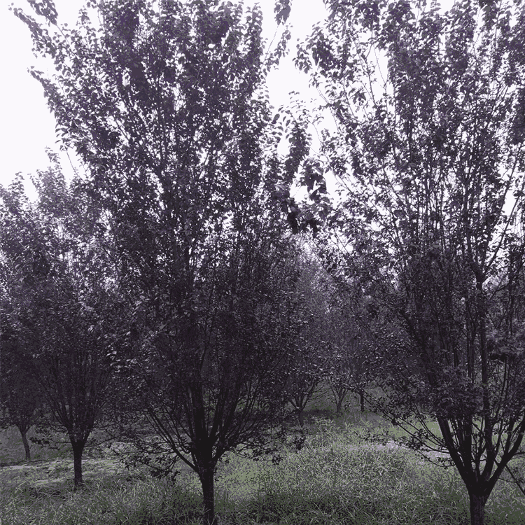 Ʒt~ 8ּt~l(f)r  F(xin)؛N