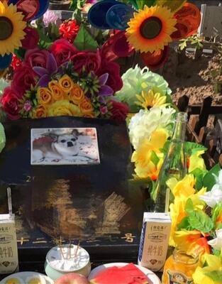 ɴuƬ   ɴuƬ   Ƭ    I